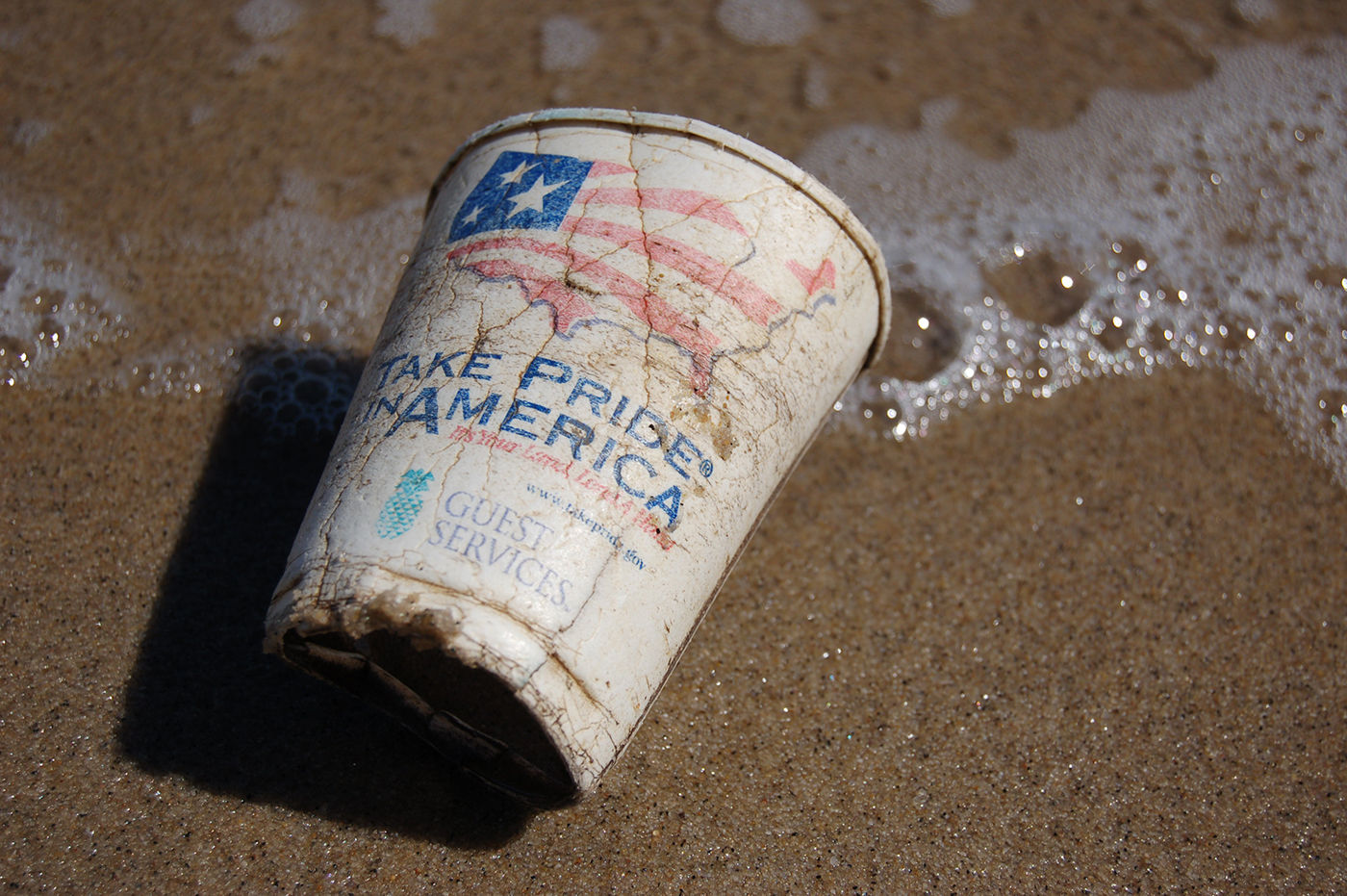 Discarded cup on sand